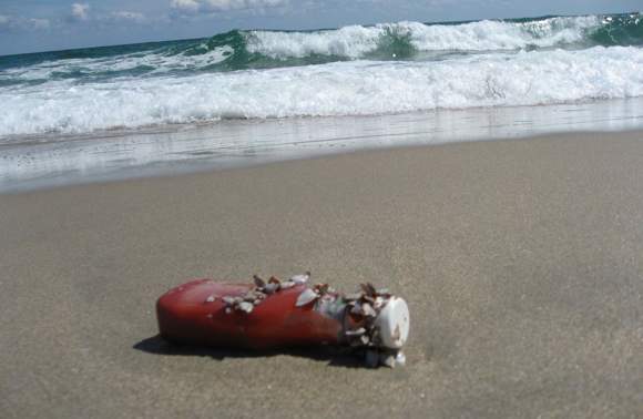 Barnacles on a Heinz Bottle: Another Reason to Travel Green