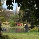 Koi Fish Pictures: Buenos Aires Japanese Gardens