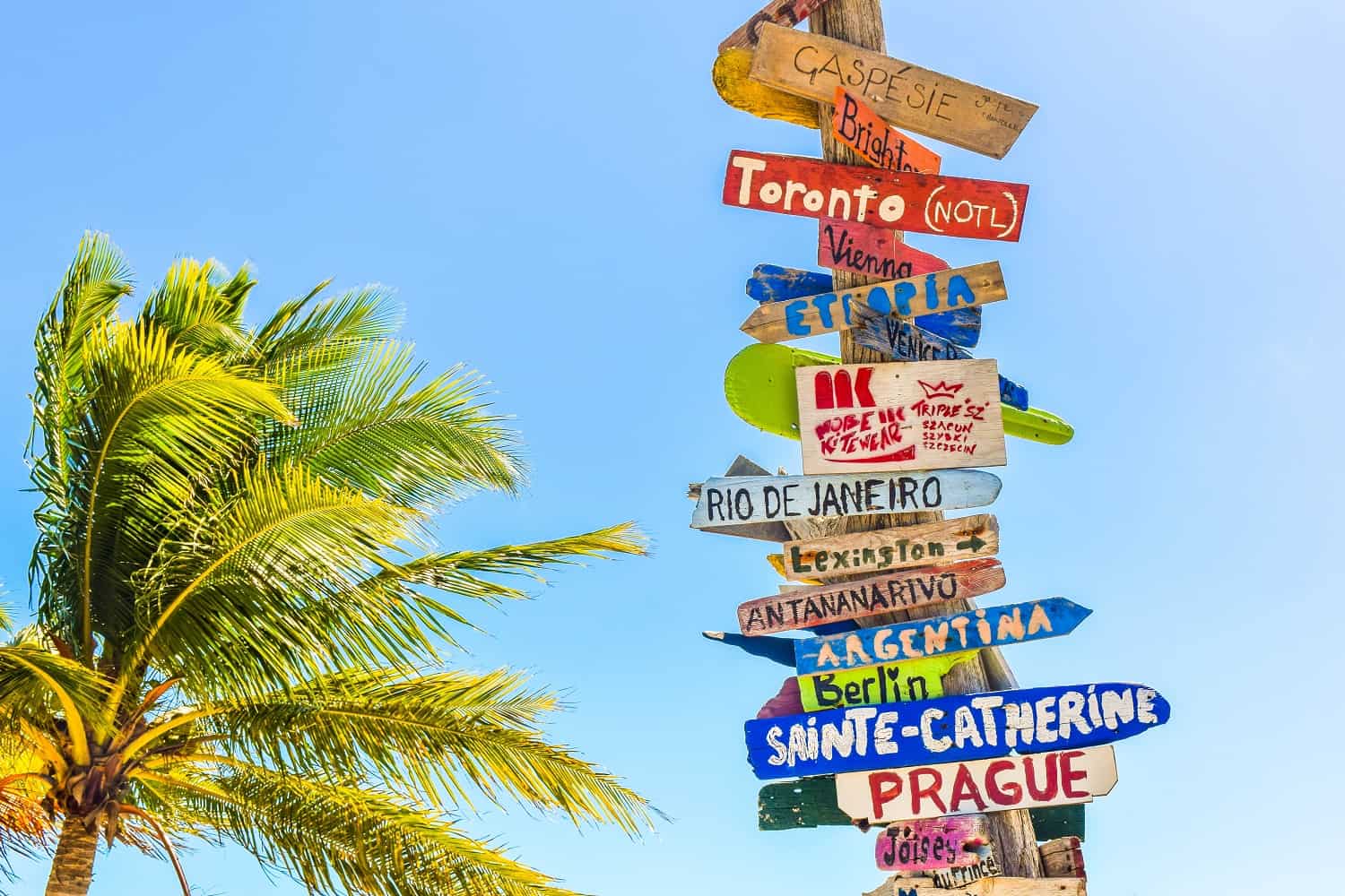 directional signs on a wooden pole by the palm tree