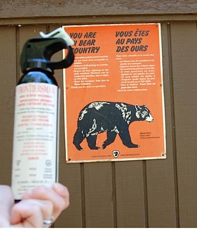 bear spray 
