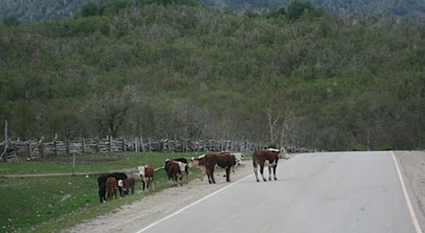 Bariloche Argentina