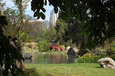 grass landscape with body of water