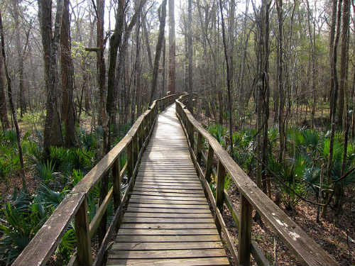 Park boardwalk