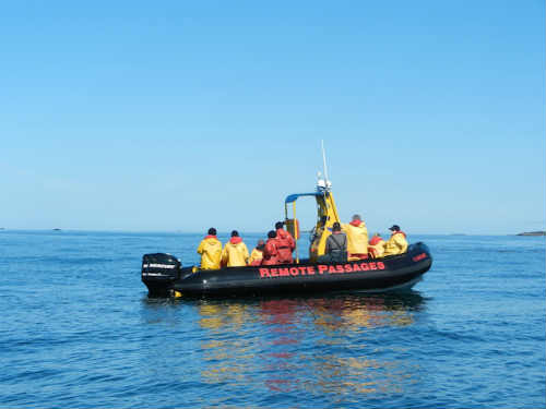 whale watching with Remote Passages