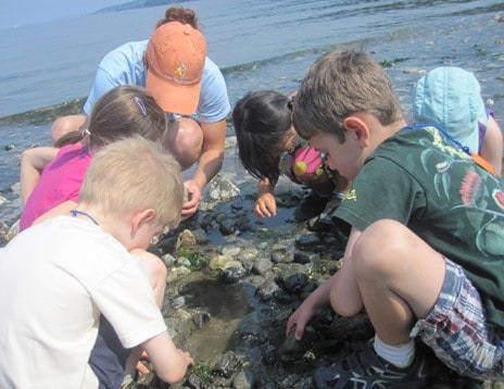 kids looking for something at the shoreline