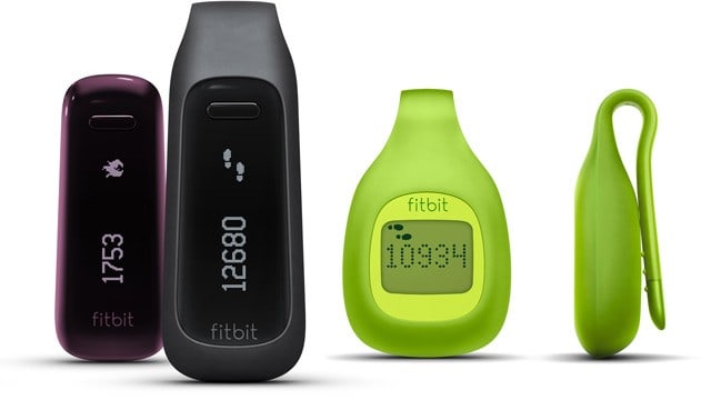 clip on fitbit zip