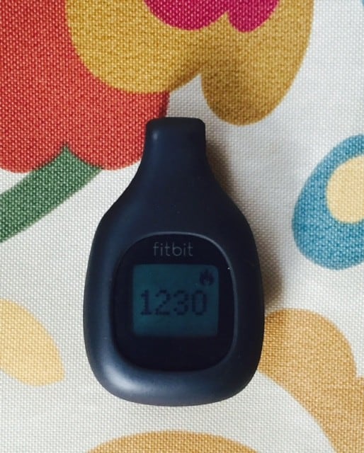 Fitbit pedometer clip discount on