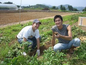 best places to WWOOF USA