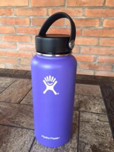 Thermos Nissan 16-Ounce Stainless-Steel Backpack Bottle Review 